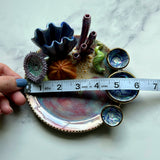 Coral Reef Dish with Mini Bowls Iridescent Altar Ring Jewelry Dish