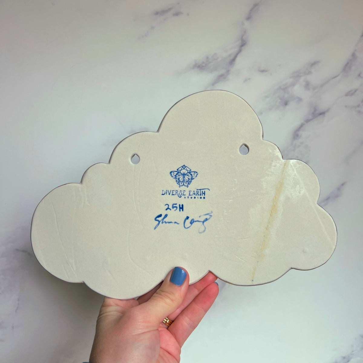 IMPERFECT 5 Dish Cloud Jewelry Wall Hanging Necklace Display with Ring Dishes C