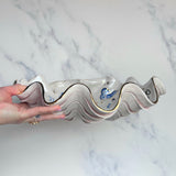Giant Clam Shell Octopus Bowl Sculpture