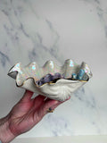 Clam Shell Bowl Coral Reef Pearl Sculpture