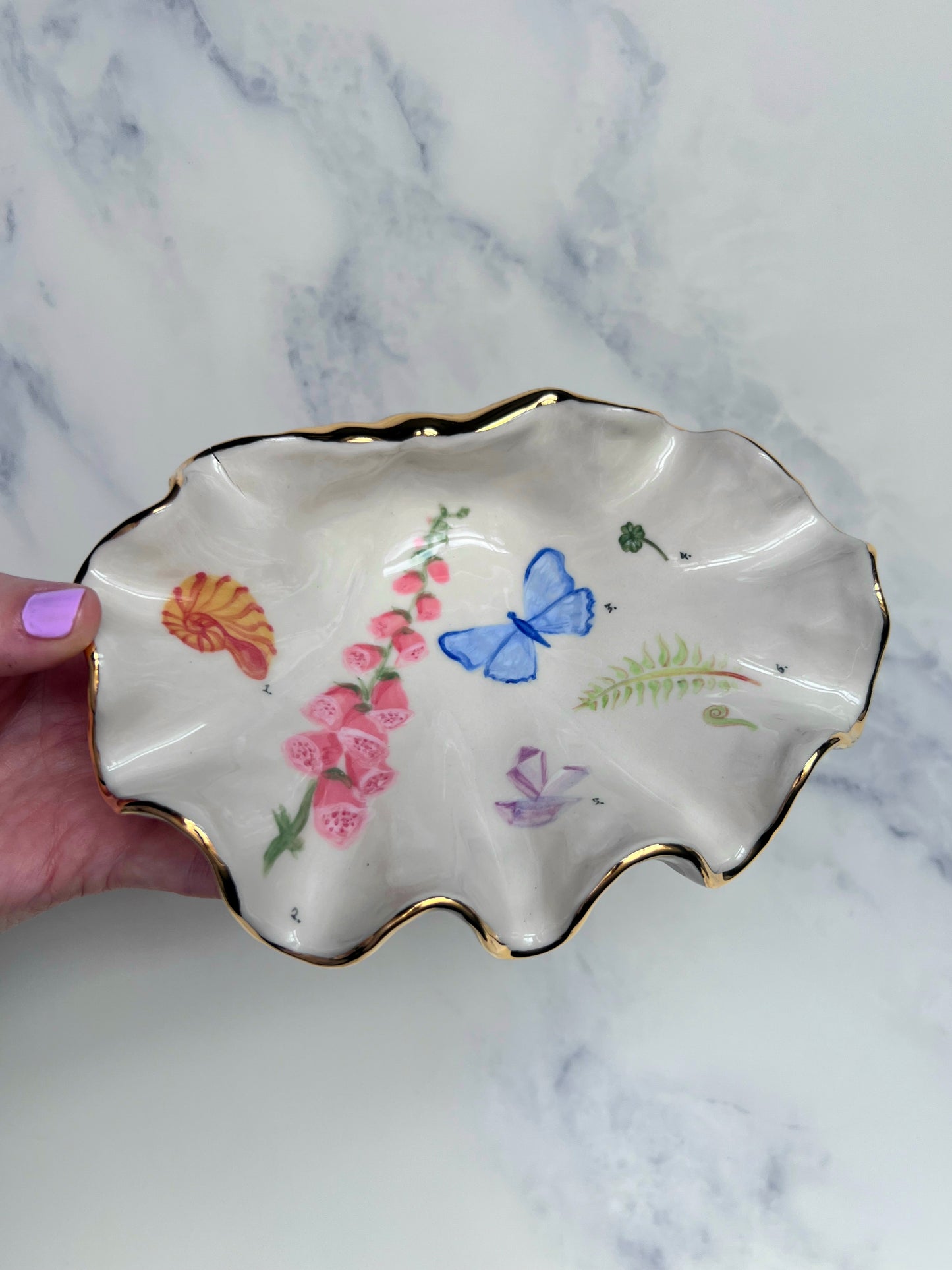 Botanical Illustration Shell Bowl - Vintage Style Cabinet of Curiosities