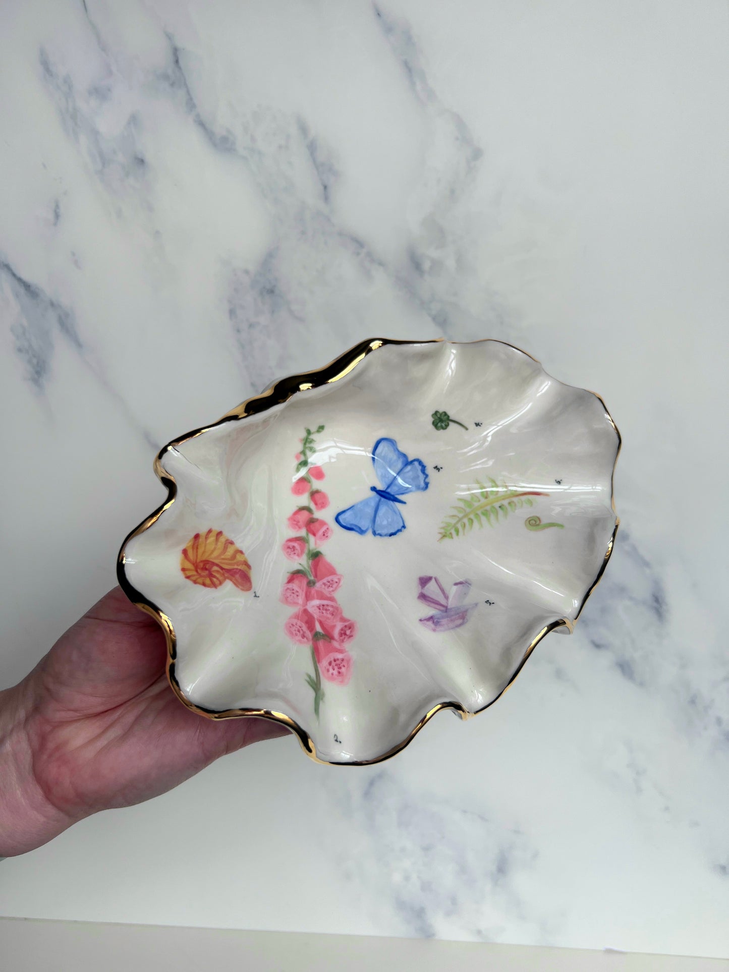 Botanical Illustration Shell Bowl - Vintage Style Cabinet of Curiosities