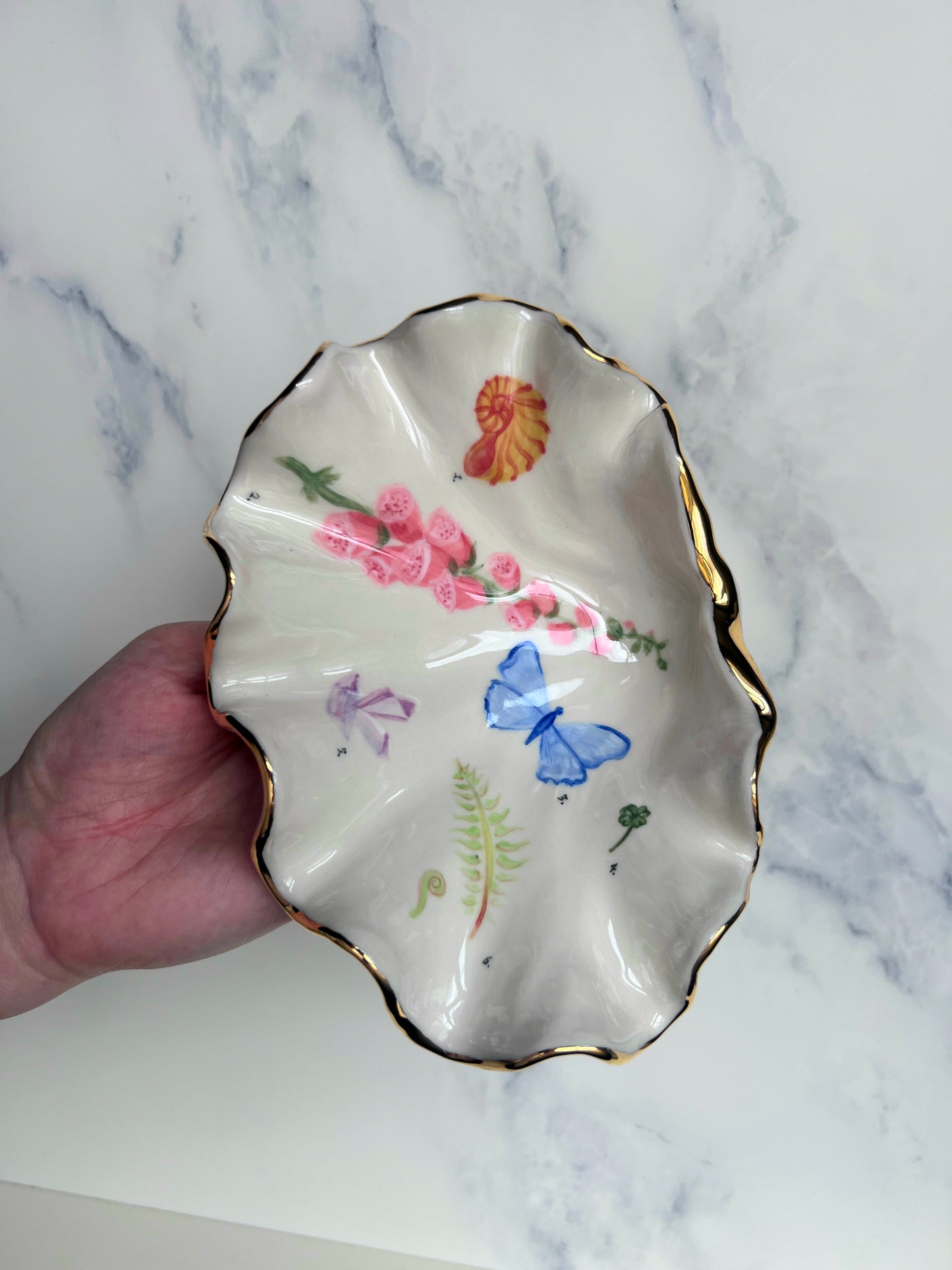 Botanical Illustration Shell Bowl - Vintage Style Cabinet of Curiosities
