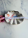 Botanical Illustration Shell Bowl - Vintage Style Cabinet of Curiosities