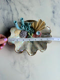 Sea Turtle Clam Shell Wall Hanging - Coral Reef Sculpture Jewelry Display