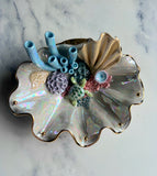 Sea Turtle Clam Shell Wall Hanging - Coral Reef Sculpture Jewelry Display