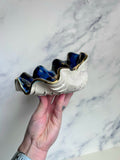 Galaxy Clam Shell Bowl