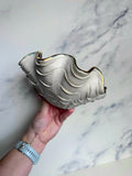 Galaxy Clam Shell Bowl