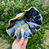 Galaxy Clam Shell Bowl