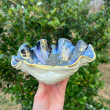 Galaxy Clam Shell Bowl