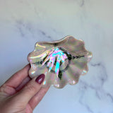 Iridescent Luna Moth Shell Dish