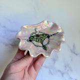 Iridescent Luna Moth Shell Dish
