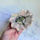 Iridescent Luna Moth Shell Dish