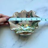 Humming Bird Shell Jewelry Wall Hanging Montera Leaves Necklace Display