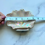 Lil Pink Shell Jewelry Wall Hanging Necklace Display
