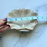 Pink Shell Jewelry Wall Hanging Necklace Display A