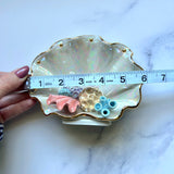 Coral Reef  Shell Jewelry Wall Hanging Necklace Display