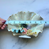 Sea Turtle Shell Jewelry Wall Hanging Coral Reef Necklace Display B