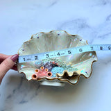 Clown Fish Shell Jewelry Wall Hanging Coral Reef Necklace Display