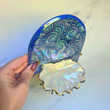 Shell Jewelry Wall Hanging Cloud Arch Necklace Display B