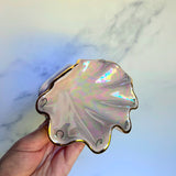 Lil Pink Shell Jewelry Wall Hanging Necklace Display