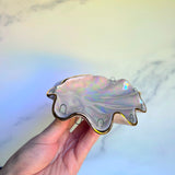 Lil Pink Shell Jewelry Wall Hanging Necklace Display