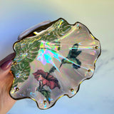 Humming Bird Shell Jewelry Wall Hanging Montera Leaves Necklace Display