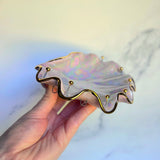 Pink Shell Jewelry Wall Hanging Necklace Display A