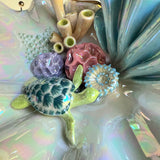 Sea Turtle Shell Jewelry Wall Hanging Coral Reef Necklace Display B