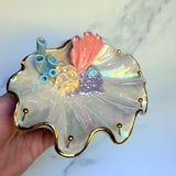 Coral Reef  Shell Jewelry Wall Hanging Necklace Display