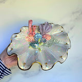 Sea Turtle Shell Jewelry Wall Hanging Coral Reef Necklace Display A