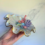 Sea Turtle Shell Jewelry Wall Hanging Coral Reef Necklace Display A