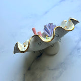 Sea Turtle Shell Jewelry Wall Hanging Coral Reef Necklace Display A