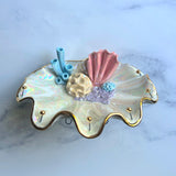 Coral Reef  Shell Jewelry Wall Hanging Necklace Display