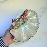 Clown Fish Shell Jewelry Wall Hanging Coral Reef Necklace Display