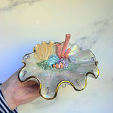 Clown Fish Shell Jewelry Wall Hanging Coral Reef Necklace Display