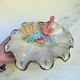 Clown Fish Shell Jewelry Wall Hanging Coral Reef Necklace Display