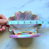 Rainbow Shell Jewelry Wall Hanging Round Necklace Display