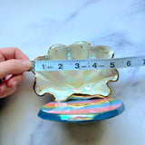 Rainbow Shell Jewelry Wall Hanging Round Necklace Display A