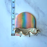 Arch Rainbow Shell Jewelry Wall Hanging Necklace Display A