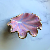 Pink Shell Jewelry Wall Hanging Necklace Display
