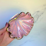 Pink Shell Jewelry Wall Hanging Necklace Display