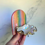 Arch Rainbow Shell Jewelry Wall Hanging Necklace Display A