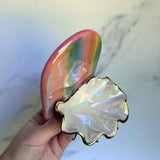 Arch Rainbow Shell Jewelry Wall Hanging Necklace Display A