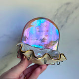 Arch Rainbow Shell Jewelry Wall Hanging Necklace Display A