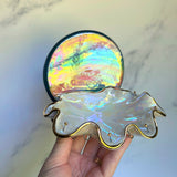 Rainbow Shell Jewelry Wall Hanging Round Necklace Display A