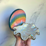 Rainbow Shell Jewelry Wall Hanging Round Necklace Display A
