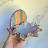 Rainbow Shell Jewelry Wall Hanging Round Necklace Display