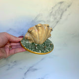 Mini Shell Jewelry Wall Hanging Monstera Leaf Necklace Display