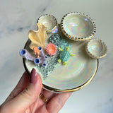 Mermaid Dreams - Coral Reef Dish Iridescent Infinity Sea Turtle Tray